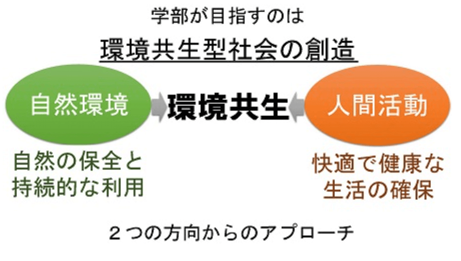 吉住は熊本県立大学で建築学を専攻