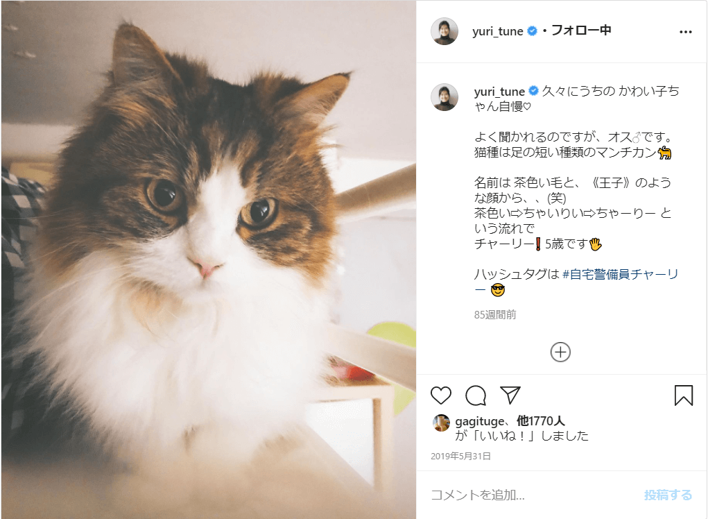 恒松祐里の愛猫はチャーリー