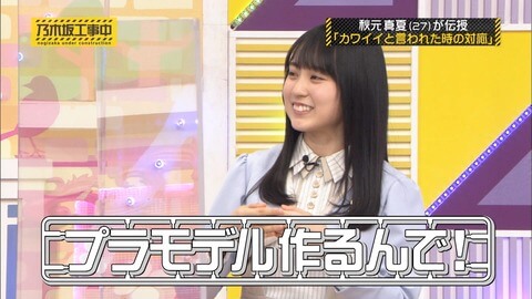 賀喜遥香（かきはるか）と小島健の匂わせその③：『プラモデル』