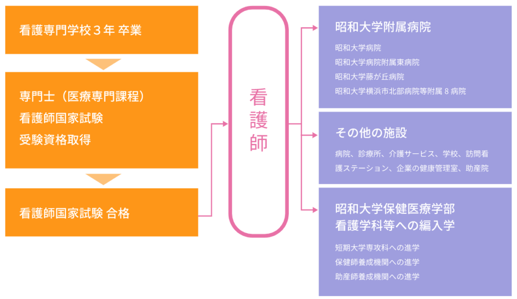 長野じゅりあが卒業した昭和大学医学部付属看護専門学校の卒業生の進路は？