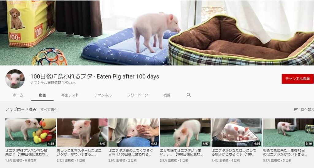 YouTubeチャンネル『100日後に食われるブタ』