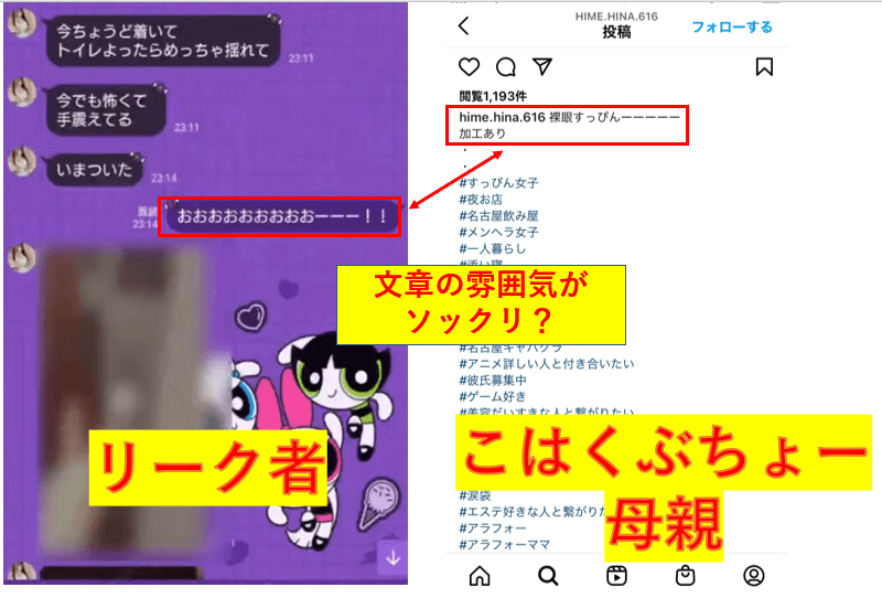 こはくぶちょー母親のインスタとリーク者の投稿がソックリ