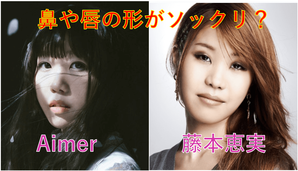 Aimer（エメ）と藤本恵実はソックリ？